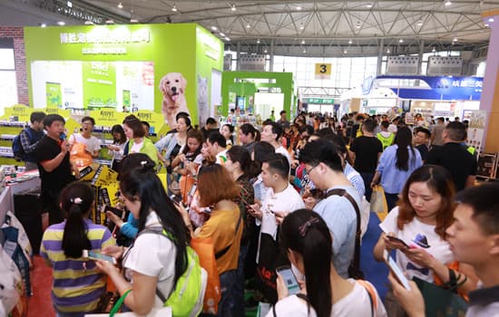 Chengdu Pet Expo - Image 3