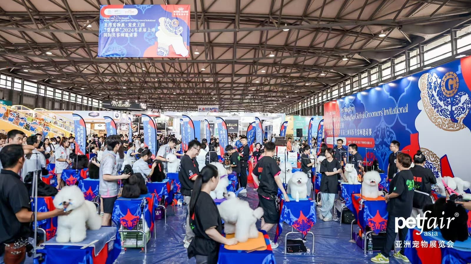 Pet Fair - Image 2