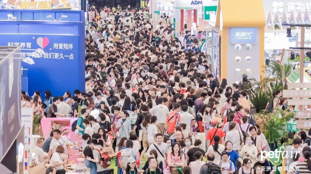 Pet Fair - Image 3