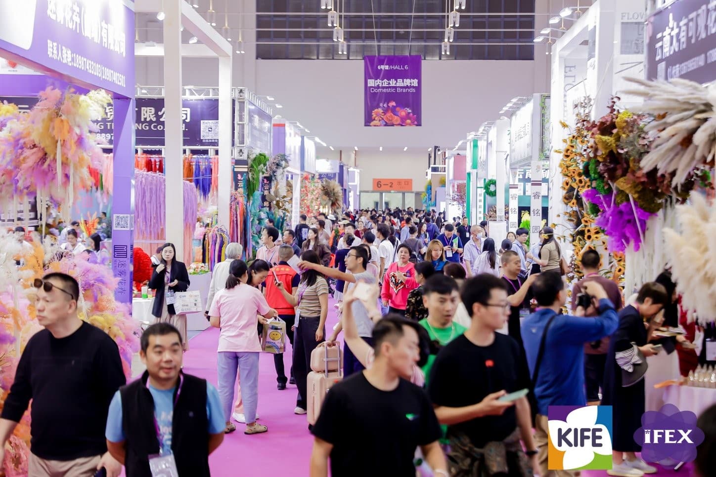 China Kunming International Flower Exhibition - Image 2