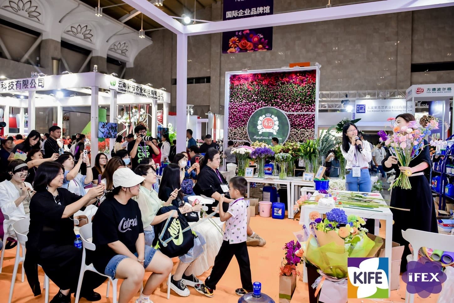 China Kunming International Flower Exhibition - Image 5